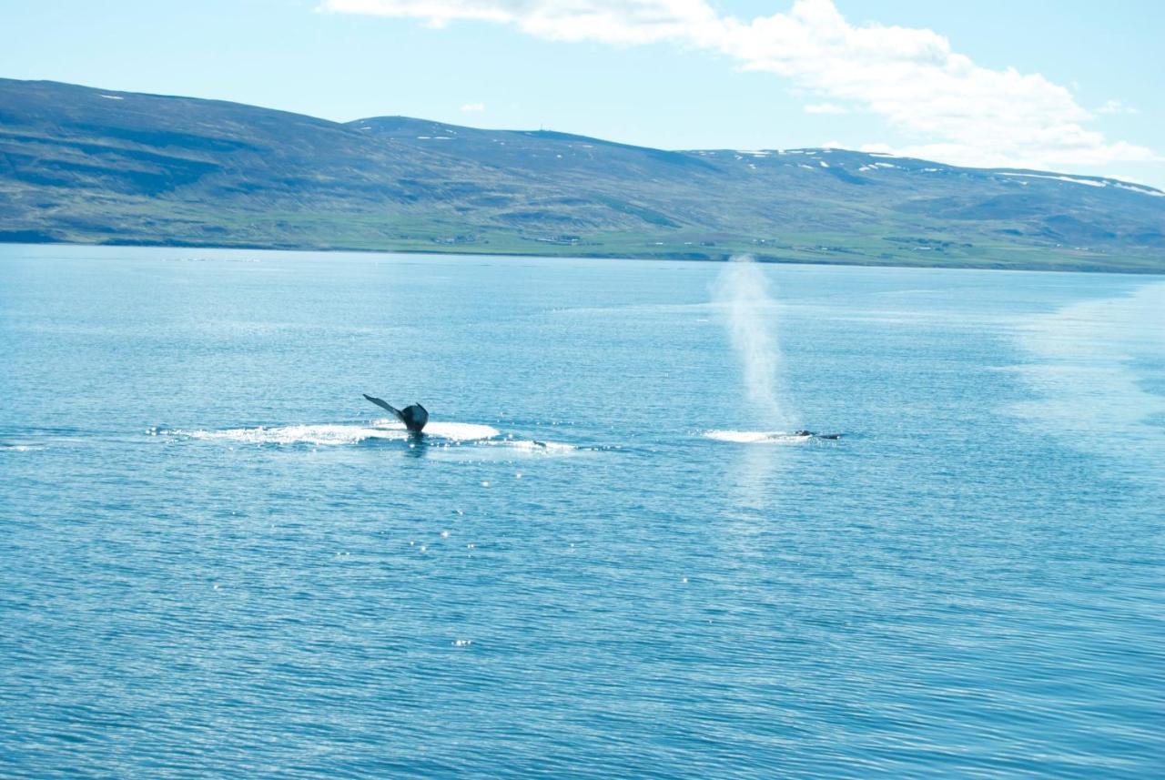 Sky Sighting Igluhus - Stay'In Arbakki Arskogssandur Luaran gambar